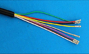 Women's Brown Leather Backpacks